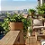 Vaso de Fibra de Coco Natural para Plantas - Imagem 4