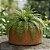 Vaso de Fibra de Coco Natural para Plantas - Imagem 6