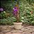 Estaca de Fibra de Coco para Plantas - Imagem 4