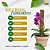 Estaca de Fibra de Coco para Plantas - Imagem 3