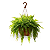 Vaso Cuia de Plástico para Plantas - Imagem 1