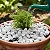 Cascalho Granilha Branco para Jardim - Imagem 5