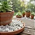 Cascalho Granilha Branco para Jardim - Imagem 3
