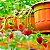 Adubo Orgânico Bokashi para Frutíferas Gold Plant - Imagem 5