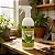 Brilha Folha Dimy para Plantas Ornamentais - Imagem 4