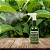 Inseticida Dimy Pronto Uso 500ml Spray - Imagem 2