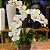 Fertilizante Líquido Dimy para Orquídeas - Imagem 4