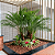Adubo para Coqueiros Gold Plant - Imagem 3