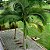Adubo Gold Plant para Palmeiras NPK 46-00-00 - Imagem 3