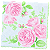 Guardanapo para Decoupage 33x33 Rosas na Alvorada - Imagem 2