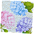 Guardanapo para Decoupage 33x33 Hortênsias Fundo em Escrita - Imagem 2