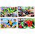 Kit de Blocos de Montar 4 em 1 Coleção Insetos - Imagem 1