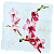 Guardanapo para Decoupage 33x33 Orquídea Phalaenopsis Rosa - Imagem 2