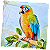 Guardanapo para Decoupage 33x33 Arara Amarela - Imagem 2