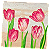 Guardanapo para Decoupage 33x33 Tulipas Delicadas - Imagem 2