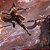 SEKIRO: SHADOWS DIE TWICE - GOTY EDITION ARG - Imagem 2