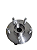 Cubo De Roda Dianteira Chevrolet Cruze /19 1.4/1.8 16V C/ABS COFAP - Imagem 1