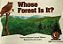 Whose Forest Is It? - Imagem 1