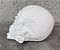 Cranio com Rosa 9x6cm Gesso Cru - Imagem 2