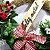 Decoração Guirlanda Feliz Natal Tam:G DP016 - SB Aces (12) - Imagem 2