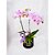 Box luxo com orquídea lilás - Imagem 1