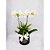 Box luxo com orquídea - Imagem 1
