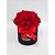 Caixa box Florfina com 20 rosas vermelhas - Imagem 1