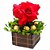 Topiária com 5 rosas e 4 Ferreros Rocher - Imagem 1