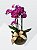 mini orquidea em aquário de vidro - Imagem 1
