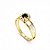 Anel  Formatura feminino - Ouro 18k - Imagem 6