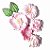 Flores Carina Sartor - Cor Rosa - Carina Sartor - Imagem 1