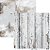 Coleção Essencial Texture (kit 5 folhas) - Imagem 2
