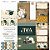 Coleção The Green - Folha 605 - CARDS - 180g - Decore Craft - Imagem 2