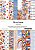 Coleção Meu dia Colorido - Bloco A4 - MMCMCC-07  -  My Memories Crafts - Imagem 1