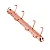 GARRA 4 Argolas D 25mm (Base 210 x 20mm) - ROSE GOLD - Imagem 2
