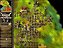 [Digital] Knights and Merchants: The Shattered Kingdom + Expansão - PC - Imagem 4