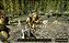[Digital] Gothic 3: Forsaken Gods Enhanced Edition - PC - Imagem 4