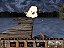 [Digital] Redneck Rampage Collection - PC - Imagem 2