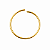 Piercing em Ouro 18k Argola - Imagem 1