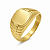 Anel em Ouro 18K Chapa Masculino - Imagem 1