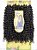 Cabelo Cacheado Crochet SHIRLEY CURL 18 inch Cabelo 70cm 320g 9X Pacotão Braid Hair - Imagem 4