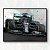 Quadro Lewis Hamilton W11 2020 - Edição Limitada - Imagem 2