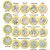 Coleção 17 Moedas Comemorativas Rio 2016 Jogos Olímpicos - Imagem 2