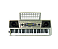 Teclado Musical  61Teclas 345 Timbres 128 Ritmos  K2007P CSR - Imagem 1
