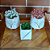 Trio de Vasos Decorativos de Cerâmica  - 2 Vasos Raposa 1 Vaso Quadrado - Imagem 10