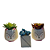 Trio de Vasos Decorativos de Cerâmica  - 2 Vasos Raposa 1 Vaso Quadrado - Imagem 6