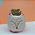 Trio de Vasos Decorativos de Cerâmica  - 2 Vasos Raposa 1 Vaso Quadrado - Imagem 5