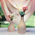 Conjunto vasos Elegance - Imagem 6