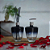 Kit Lavabo e Banheiro em Vidro - Modelo Diamante - Imagem 10