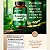 Amargo Detox Natural Reavita 60 Cápsulas – Cargueja, Espinheira Santa, Sene e Alcachofra - Imagem 3
